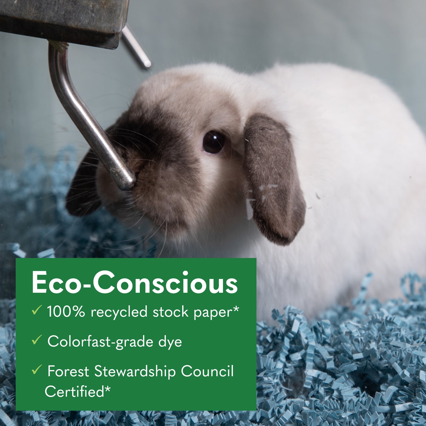 Eco Bedding® with Odor Control 4.5 lb & Eco Blue 1.5 lb