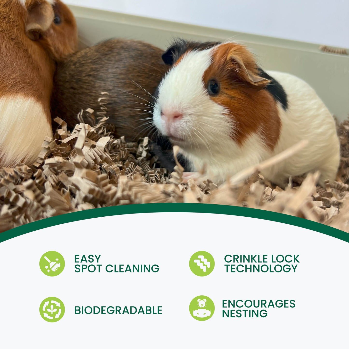 Eco Bedding® with Odor Control