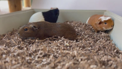 ECO BEDDING® - Natural 99% Dust Free Paper Bedding for Small Pets and Birds